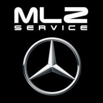 Логотип компании MLZ SERVICE