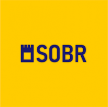 Логотип компании SOBR CONSULTING