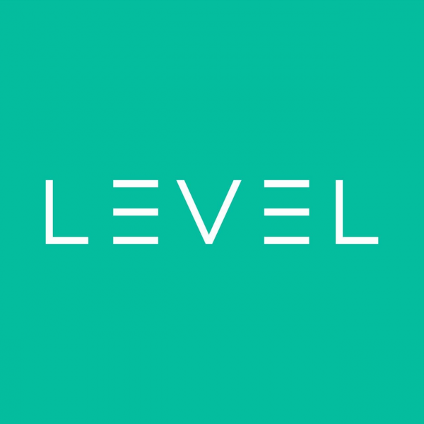 Логотип компании The Level Space