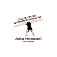 Логотип компании Студия Циркового Искусства Алены Николаевой
