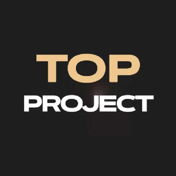 Логотип компании TOP PROJECT