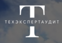 Логотип компании ТехЭкспертАудит