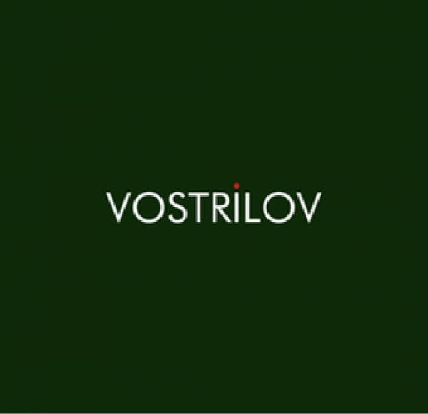 Логотип компании Vostrilov