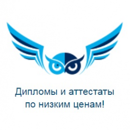 Логотип компании Студланс