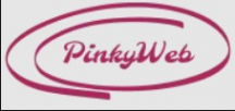 Логотип компании Стриминговая студия PinkyWeb