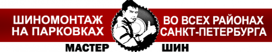 Логотип компании Мастер Шин