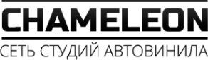 Логотип компании CHAMELEON