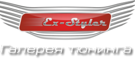 Логотип компании Ex-Styler