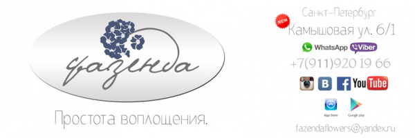Логотип компании Фазенда