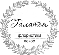 Логотип компании Галатея Логотип компании Галатея