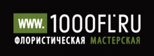Логотип компании 1000fl.ru