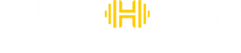 Логотип компании PUSHKIN
