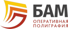Логотип компании БАМ