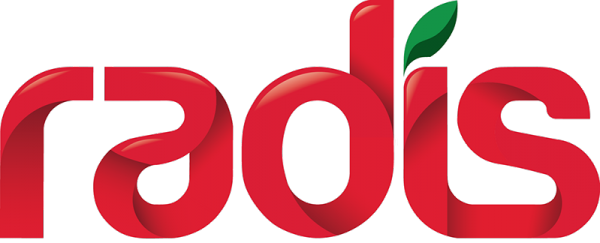 Логотип компании Радис