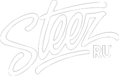 Логотип компании Steez.ru
