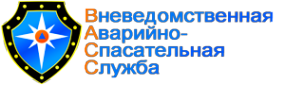 Логотип компании ВАСС