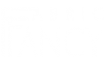 Логотип компании Fabric Fancy