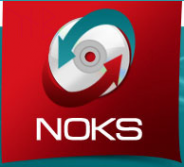 Логотип компании Нокс