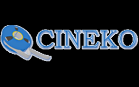 Логотип компании Синеко