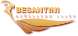 Логотип компании Besantini