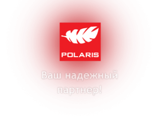 Логотип компании ПОЛАРИС