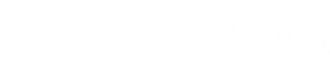 Логотип компании Байкал