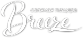 Логотип компании Breeze