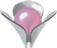 Логотип компании Advanced Fertility Clinic
