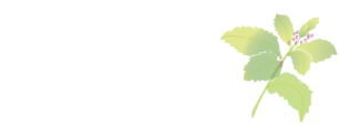 Логотип компании Мята