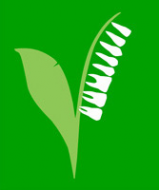Логотип компании АМИКОДЕНТ