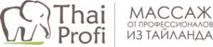 Логотип компании THAIPROFI