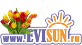 Логотип компании Evisun