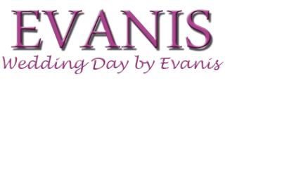 Логотип компании EVANIS
