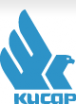 Логотип компании КИСАР СПб