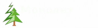 Логотип компании МонолитСеверСтрой