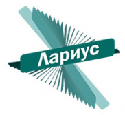 Логотип компании Лариус ГРУПП