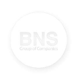 Логотип компании БНС Груп