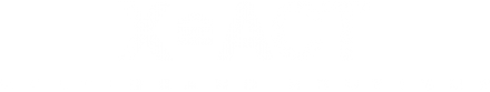 Логотип компании X-act