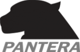 Логотип компании Пантера