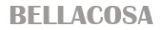 Логотип компании LEMONI