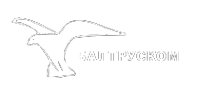 Логотип компании БалтРусКом