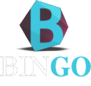 Логотип компании Бинго-принт