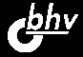 Логотип компании БХВ-Петербург