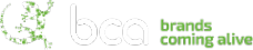 Логотип компании BCA Marketing
