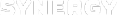 Логотип компании SYNERGY