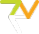 Логотип компании ZoomVision