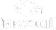 Логотип компании Fight Evolution