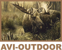 Логотип компании AVI-Outdoor