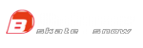 Логотип компании РосСкейт