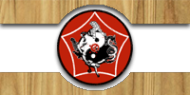 Логотип компании Федерация боевого айкидо